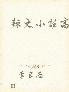 辣文小说高h封面