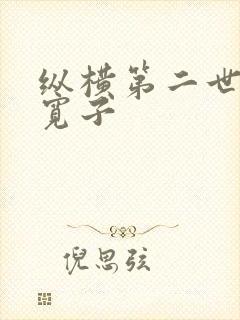 纵横第二世界 宽子