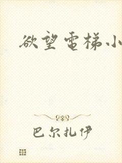 欲望电梯小说