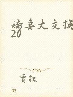 娇妻大交换1一20封面