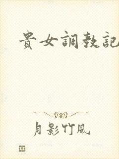 贵女调教记
