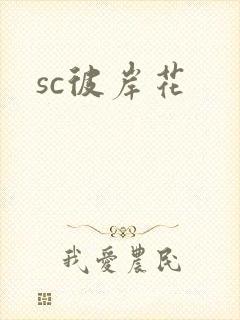 sc彼岸花