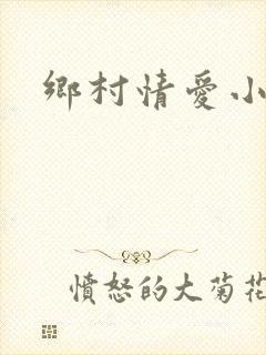 乡村情爱小说