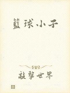篮球小子