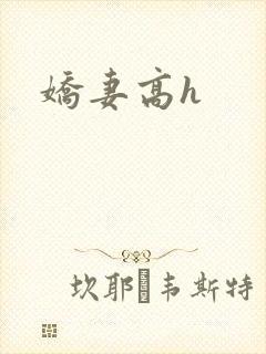 娇妻高h