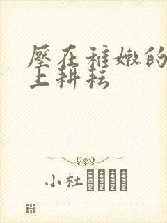 压在稚嫩的身体上耕耘