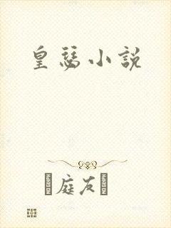 皇瑟小说封面