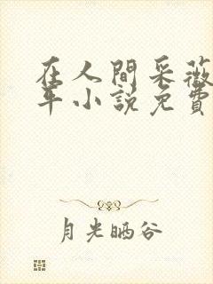 在人间采薇陆三平小说免费阅读