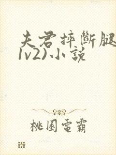 夫君摔断腿后(1v2)小说