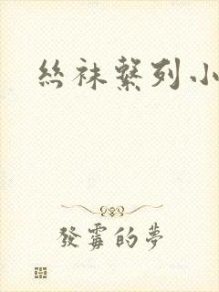 丝袜系列小说