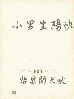 小男生阳帆