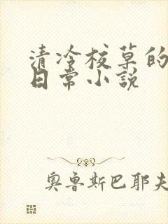 清冷校草的堕落日常小说封面