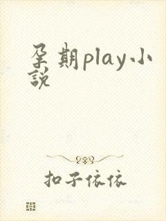 孕期play小说
