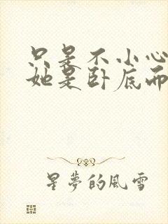 只是不小心发现她是卧底而已封面