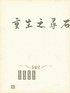 重生之寻石者