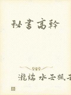 秘书高干封面
