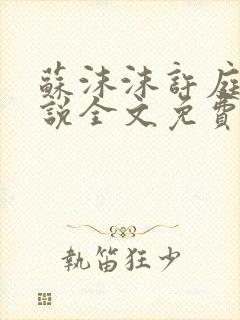 苏沫沫许庭川小说全文免费阅读封面