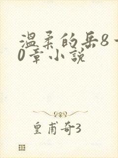 温柔的岳8一20章小说