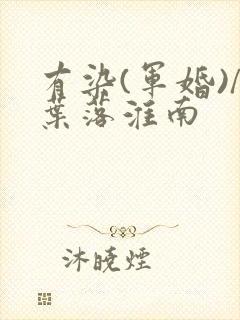有染(军婚)/叶落淮南