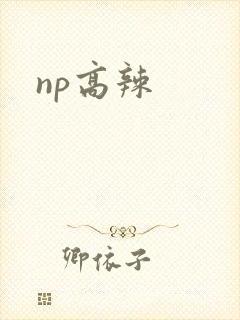 np高辣