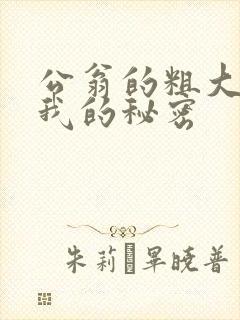 公翁的粗大放进我的秘密