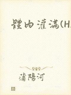 体内灌满(H)封面