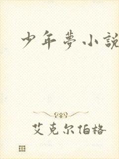 少年梦小说