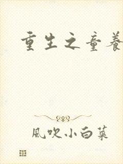 重生之童养媳