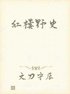 红楼野史封面