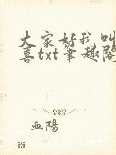 大家好我叫林小喜txt笔趣阁封面