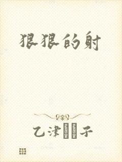 狠狠的射