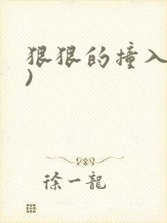 狠狠的撞入(h)