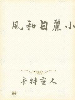 风和日丽小说
