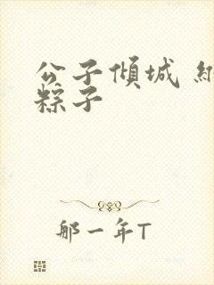 公子倾城 维和粽子