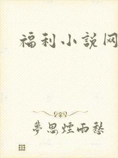 福利小说网