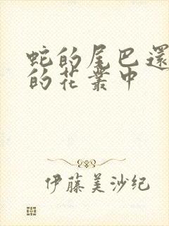 蛇的尾巴还在我的花丛中