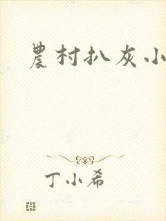 农村扒灰小说封面