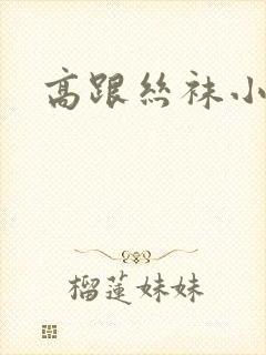 高跟丝袜小说