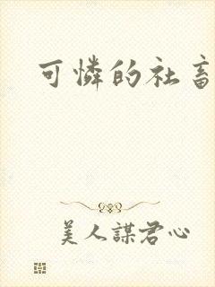 可怜的社畜小说