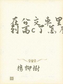 在公交车里c弄到高c了怎么办