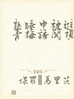 熟睡中被进了H青梅诱哄视频
