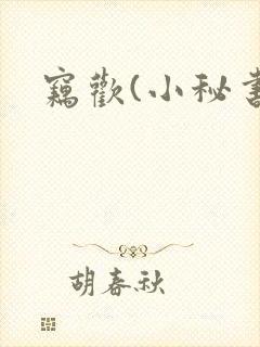 窃欢(小秘书)
