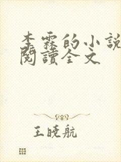 李霖的小说免费阅读全文