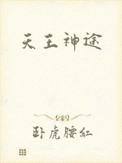 天王神途