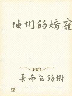 他们的娇宠
