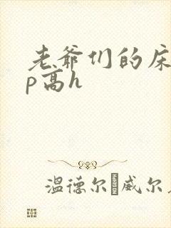 老爷们的床奴np高h封面