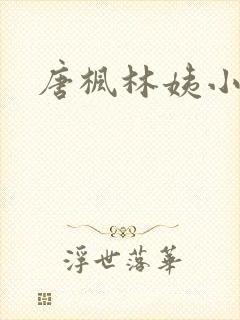 唐枫林姨小说