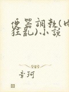 便器调教(肉体狂乱)小说封面