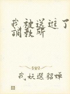 我被送进了私奴调教所封面