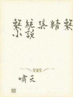系统集精系统 小说